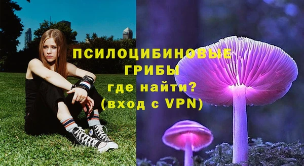 марки lsd Осинники