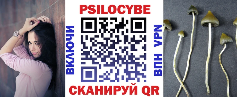 Галлюциногенные грибы Psilocybe  Ужур 
